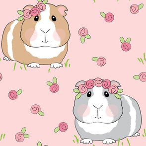 jumbo guinea pigs and pink roses