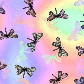 Dragonfly wings