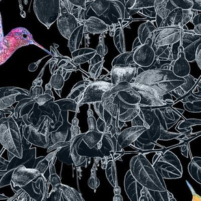 Hummingbirds & Fuschia Blooms LARGE