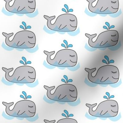 water spout whales