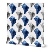 Conch Shells in Gray, White & Blue
