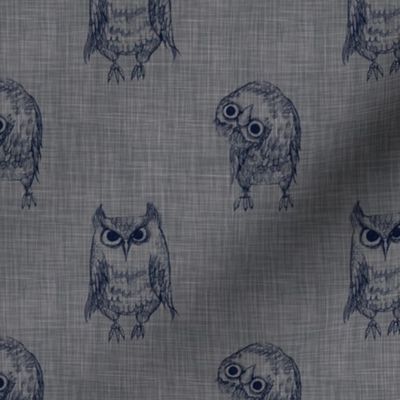 owls