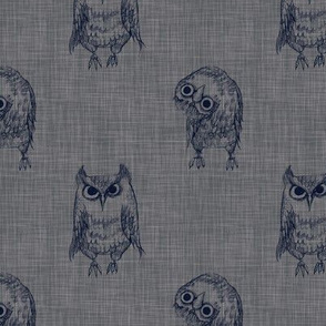 owls