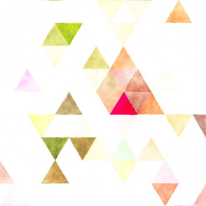 Pink Watercolor Triangles Floral