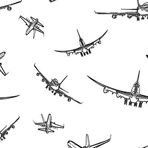 Plane Sketches // Large