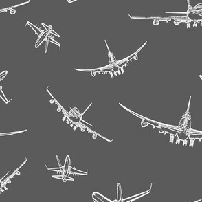 Plane Sketches on Dark Grey // Large