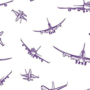 Purple Plane Sketches // Large
