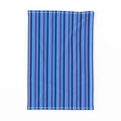 BN10 - Narrow Variegated Stripes in Blues - Pink - Lavender 