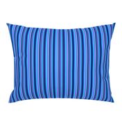 BN10 - Narrow Variegated Stripes in Blues - Pink - Lavender 