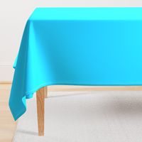 BN 10 - Bright Turquoise Solid