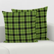 Brown tartan, custom 3" lime