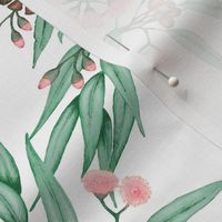 Eucalyptus Blush Pink // standard