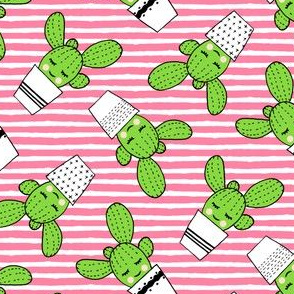 happy cactus - potted succulents - med pink stripes