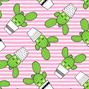 happy cactus - potted succulents - pink stripes