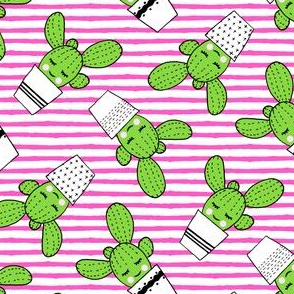 happy cactus - potted succulents - dark pink stripes
