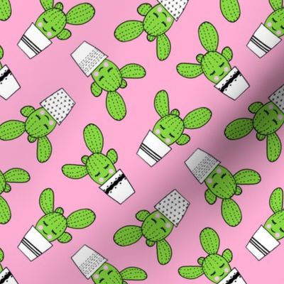 happy cactus - potted succulents - pink