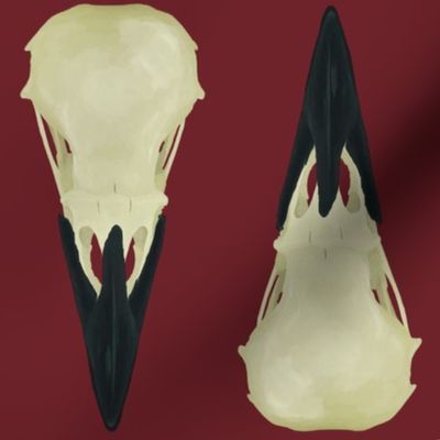 Large Raven Skulls on red background