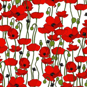 Poppy repeat white - medium