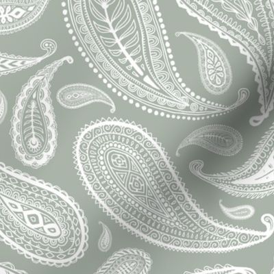 Paisley Coordinate - white on grey - large print