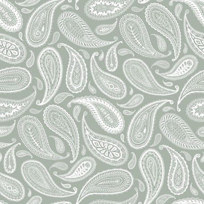 Paisley Coordinate - white on grey - small print