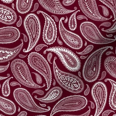 Paisley Coordinate - white on burgundy red - small print