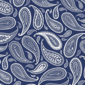 Paisley Coordinate - white on dark blue - large print