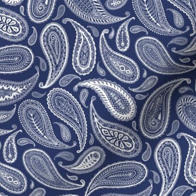 Paisley Coordinate - white on dark blue - small print