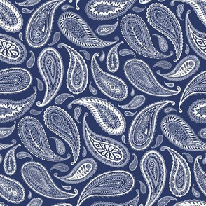 Paisley Coordinate - white on dark blue - small print