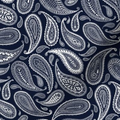 Paisley Coordinate - white on dark navy - small print