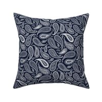 Paisley Coordinate - white on dark navy - small print