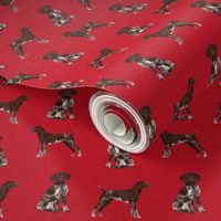 german shorthair pointer pet quilt  a coordinate