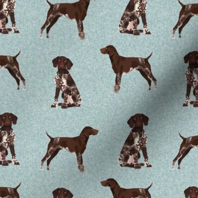 german shorthair pointer pet quilt  b coordinate