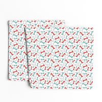 Bone Yard - Pet Dog Bones Retro Red and Aqua Small