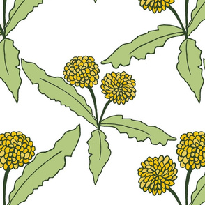 Dandelion Design