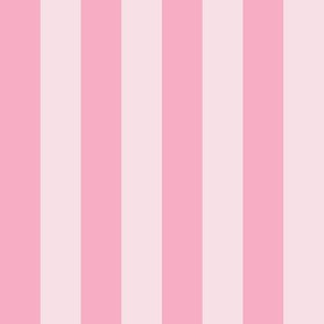 JP11 - Wide Basic Stripes in Two Tone Pink Pastel