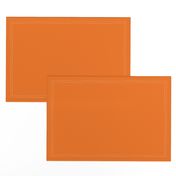 Tangerine Orange - Solid coordinate for Arctic Animal Icebergs Teal and Orange
