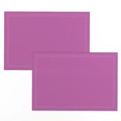 Raspberry Pink - Solid coordinate for Arctic Animal Icebergs – Blue and Raspberry
