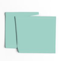 Mint Icecream - Solid coordinate for Arctic Animal Icebergs – Blue and Raspberry