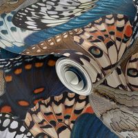 Butterfly Wings denim blue beige coffee brown Medium Size