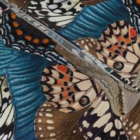 Butterfly Wings denim blue beige coffee brown Medium Size