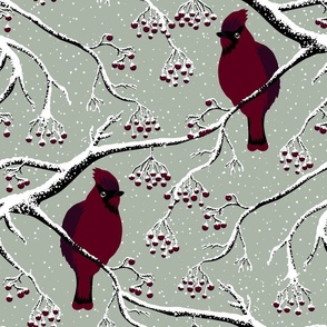 Winter birds