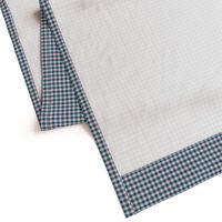 JP1 - Tiny - Buffalo Plaid of Quarter Inch Squares in Aquamarine and Pink