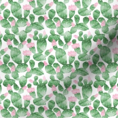 cactus (small scale) watercolor botanical desert southwest cacti fabric white green