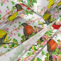 Spring Birds on Peach Blossoms