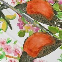 Spring Birds on Peach Blossoms