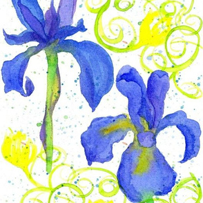 Iris in Royal Blue