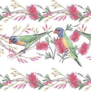 Rainbow Lorikeets with Flowers Stripe