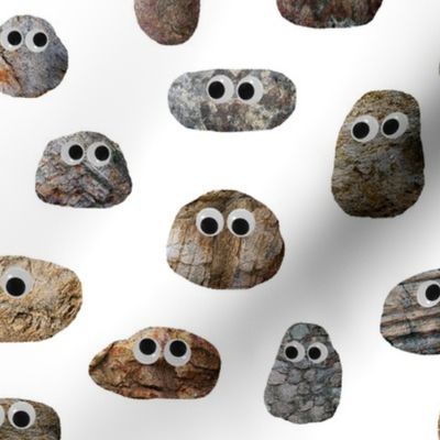 Rocks with Googly Eyes