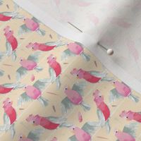 Pink Galahs CREAM background small print by Mount Vic and Me