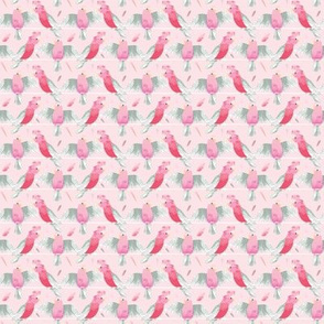 Pink Galahs on pink background SMALL print by Mount Vic and Me